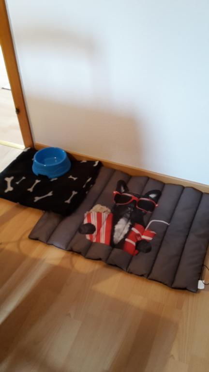 Apartment Lulu 奥利希 外观 照片